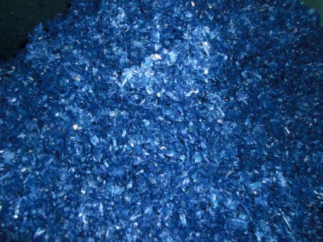 foto di pino (21).JPG