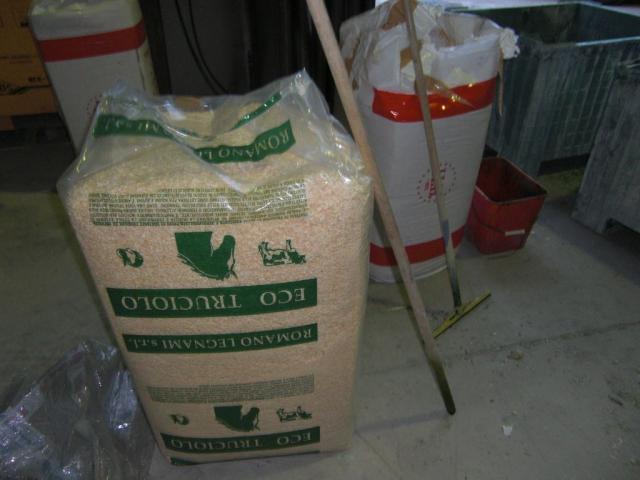 foto di pino (24).JPG