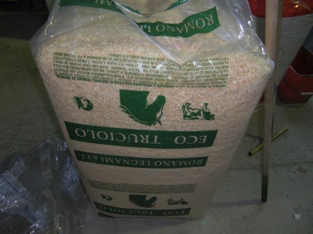 foto di pino (25).JPG