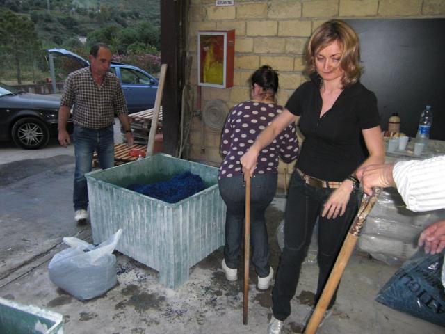 foto di pino (26).JPG