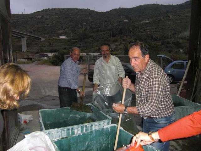 foto di pino (27).JPG