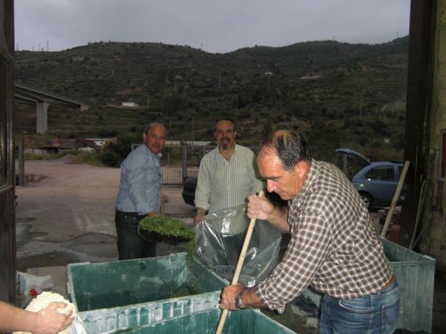 foto di pino (28).JPG