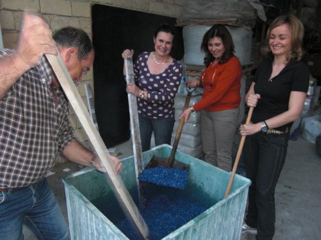 foto di pino (6).JPG