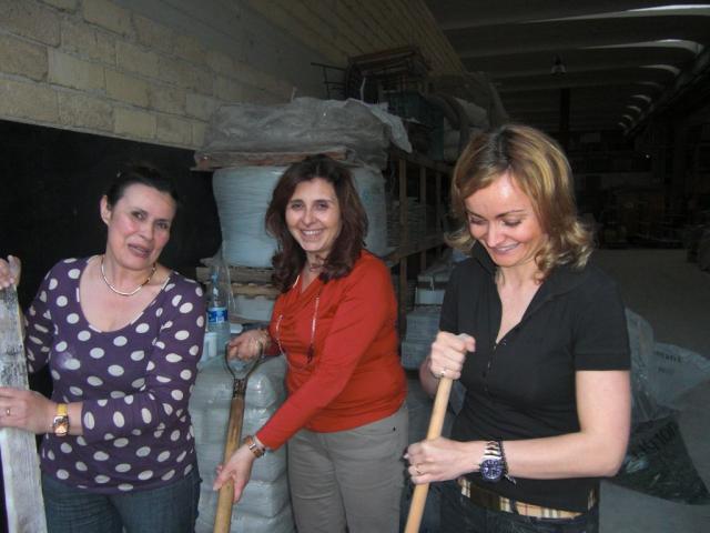 foto di pino (7).JPG