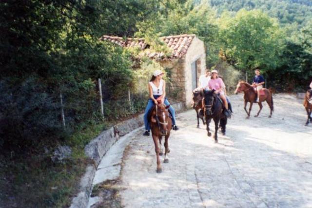 Immagine-CCCCCC172-(135)