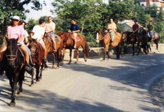 Immagine-CCCCCC172-(137)