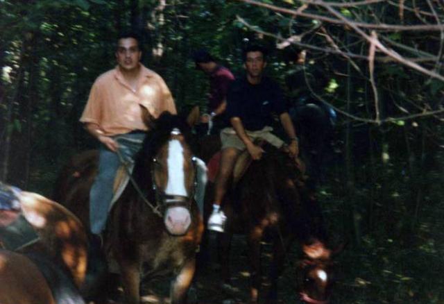 Immagine-CCCCCC172-(138)