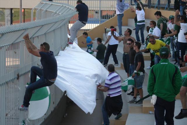 VITTORIA DOC (2).JPG