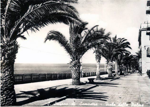 viale delle palme (Porta palermo)