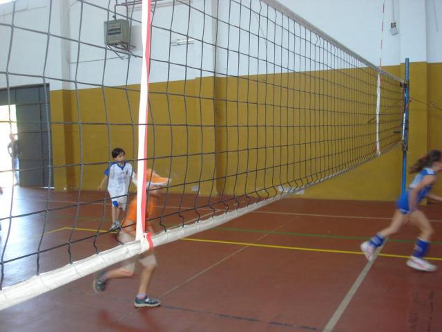 minivolley categoria 1° (6 - 8 anni ).