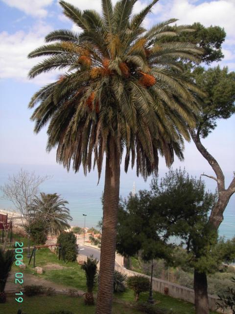 VISITA S. STEFANO C. (161).JPG