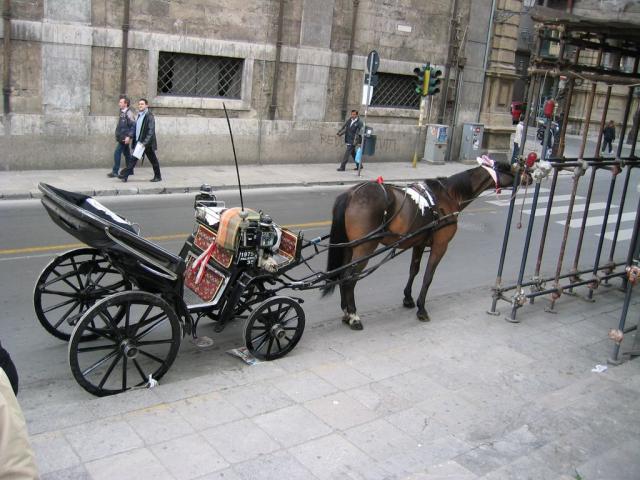 IN GIRO A PALERMO (26).JPG