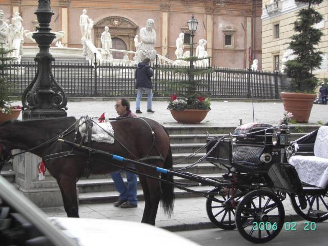 IN GIRO A PALERMO (47).JPG