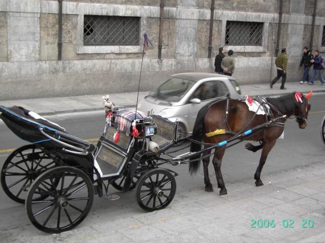 IN GIRO A PALERMO (48).JPG