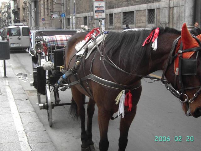 IN GIRO A PALERMO (53).JPG