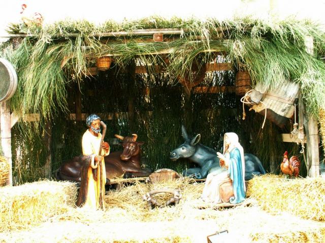 foto di enzo casto (12).jpg