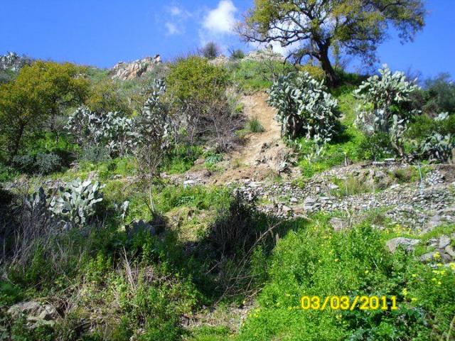 PROTEZZIONE CIVILE A MESSINA 3 - MARZO 2011 (117).jpg