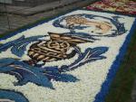 Infiorata 2011 Santo Stefano di Camastra 012.JPG