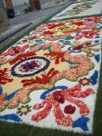 Infiorata 2011 Santo Stefano di Camastra 018.JPG