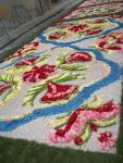 Infiorata 2011 Santo Stefano di Camastra 023.JPG