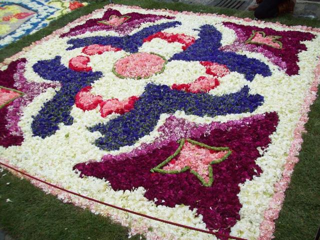 Infiorata 2011 Santo Stefano di Camastra 039.JPG
