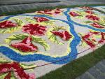Infiorata 2011 Santo Stefano di Camastra 042.JPG
