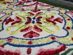 Infiorata 2011 Santo Stefano di Camastra 054.JPG