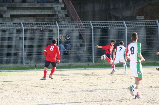 CARONIA - PARNASSIUS (104).jpg