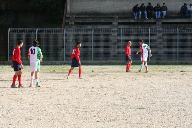 CARONIA - PARNASSIUS (108).jpg