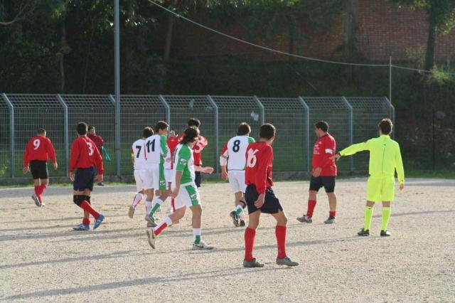 CARONIA - PARNASSIUS (118).jpg