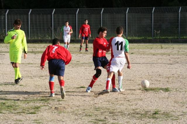 CARONIA - PARNASSIUS (126).jpg