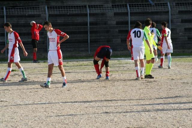 CARONIA - PARNASSIUS (135).jpg