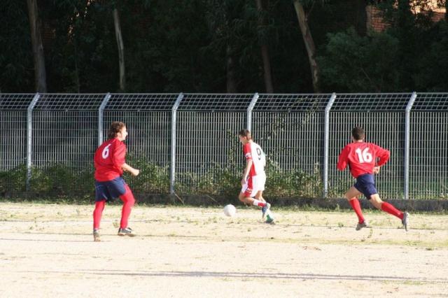 CARONIA - PARNASSIUS (140).jpg