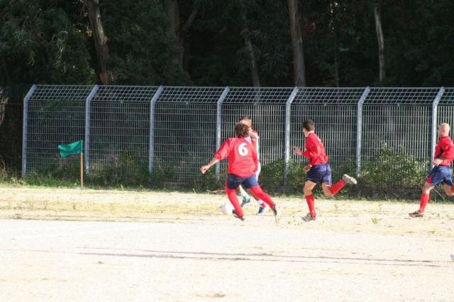 CARONIA - PARNASSIUS (141).jpg