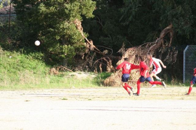 CARONIA - PARNASSIUS (142).jpg