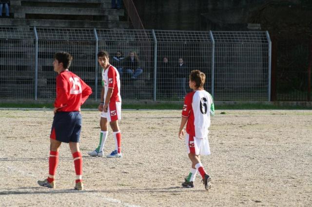 CARONIA - PARNASSIUS (143).jpg