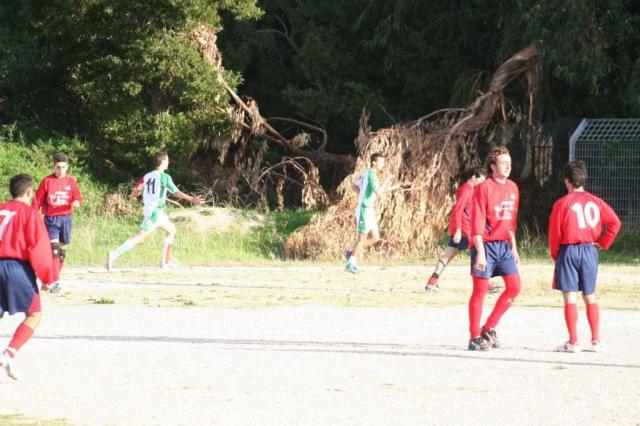 CARONIA - PARNASSIUS (145).jpg