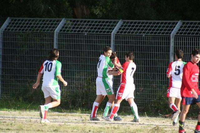 CARONIA - PARNASSIUS (147).jpg