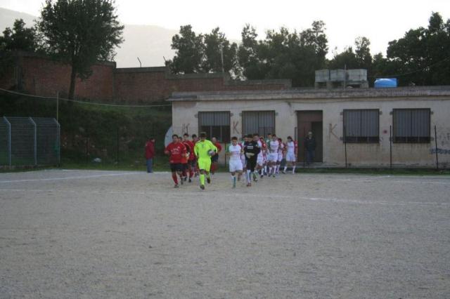 CARONIA - PARNASSIUS (15).jpg