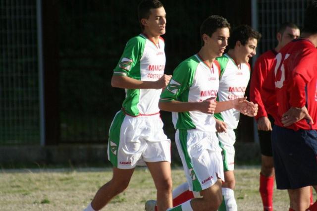 CARONIA - PARNASSIUS (154).jpg