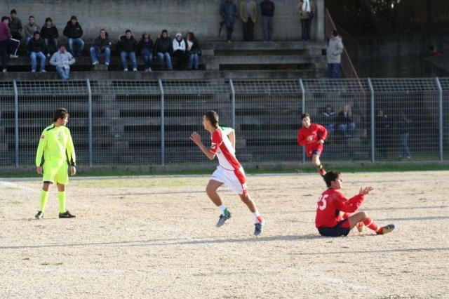 CARONIA - PARNASSIUS (157).jpg