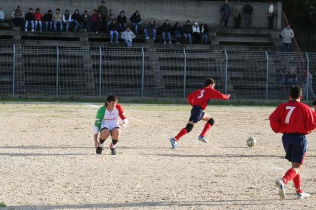 CARONIA - PARNASSIUS (160).jpg