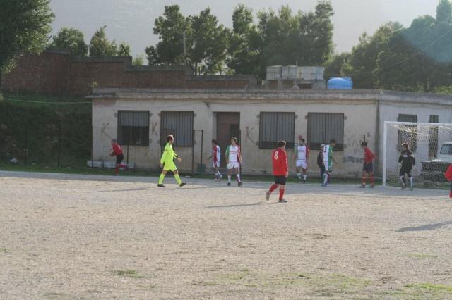 CARONIA - PARNASSIUS (161).jpg