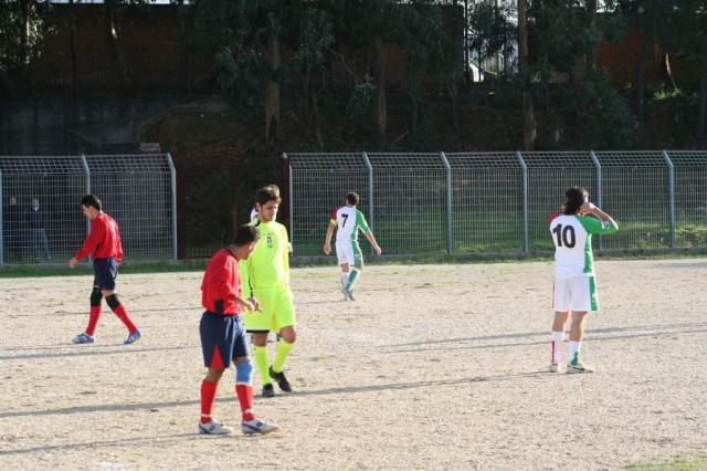 CARONIA - PARNASSIUS (162).jpg