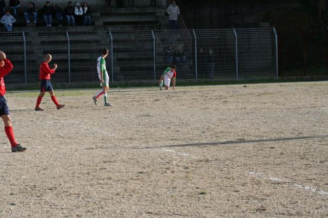 CARONIA - PARNASSIUS (167).jpg