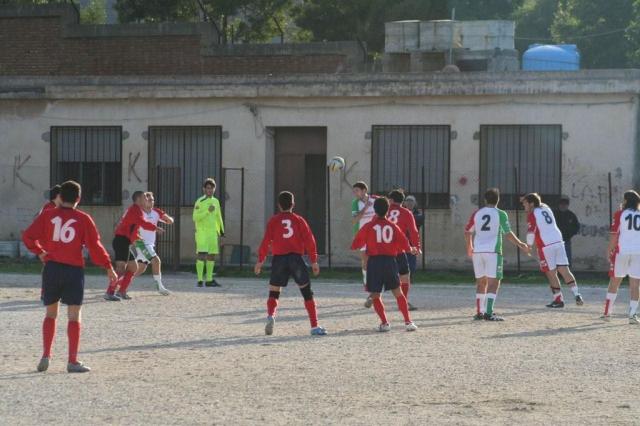 CARONIA - PARNASSIUS (169).jpg