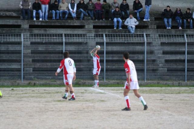 CARONIA - PARNASSIUS (173).jpg