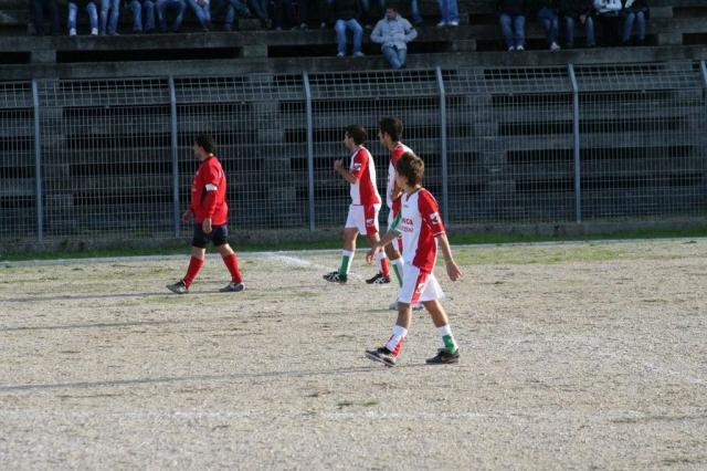 CARONIA - PARNASSIUS (175).jpg