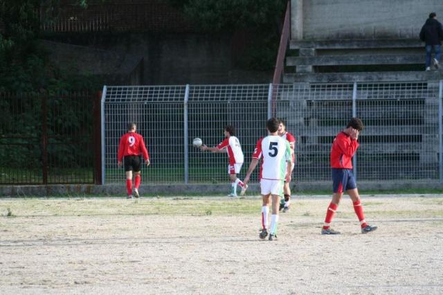 CARONIA - PARNASSIUS (176).jpg