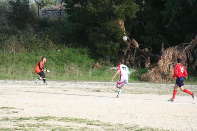 CARONIA - PARNASSIUS (177).jpg